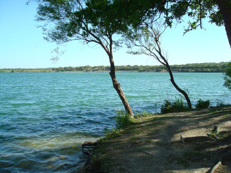 A cluster of trees at Boerne Lake